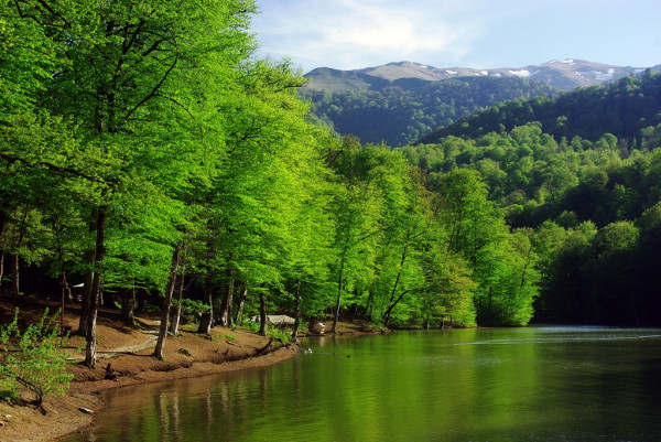 Dilijan (Goshavank, Parz (Crystal) Lake, Haghartsin)